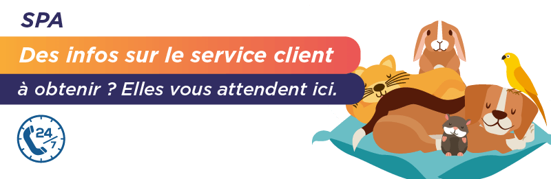 contacter support technique spa